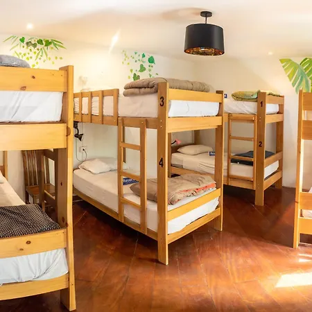 Rainbow Hostel-2